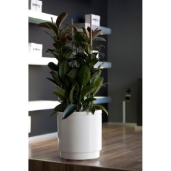 PLASTIKEN Pot de fleurs a réserve d'eau Hidrojardinera - Ø48 cm - Blanc