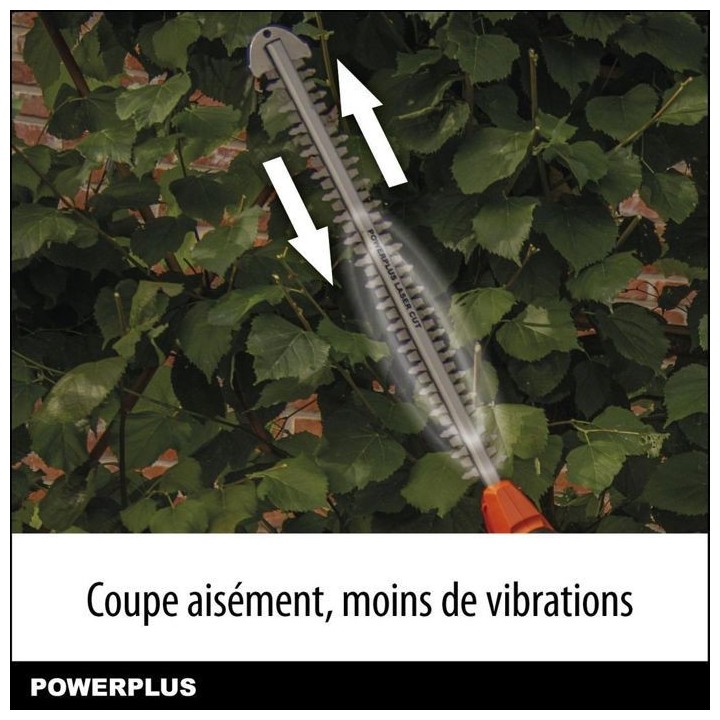 Dual Power Taille-Haie Batterie POWDPG75380 - 40 V, sans Batterie ni C