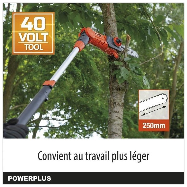 Powerplus Dual Power Tronçonneuse Téléscopique a Batterie POWDPGSET