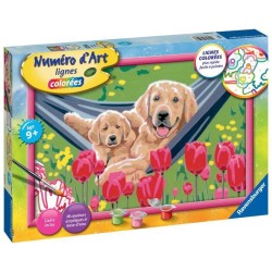 Numéro d'Art grand format - Labrador et tulipes -4005556235988 - Ravensburger