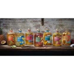 Nektar - Rhum arrangé - Ananas Coco - 28,0% Vol. - 70 cl