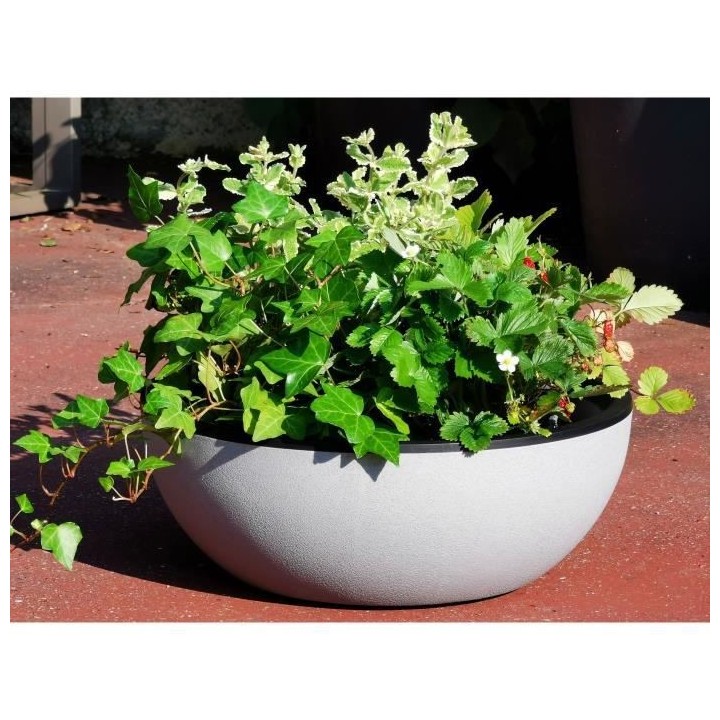 RIVIERA - Coupe pot de fleurs - granit D40 - stone