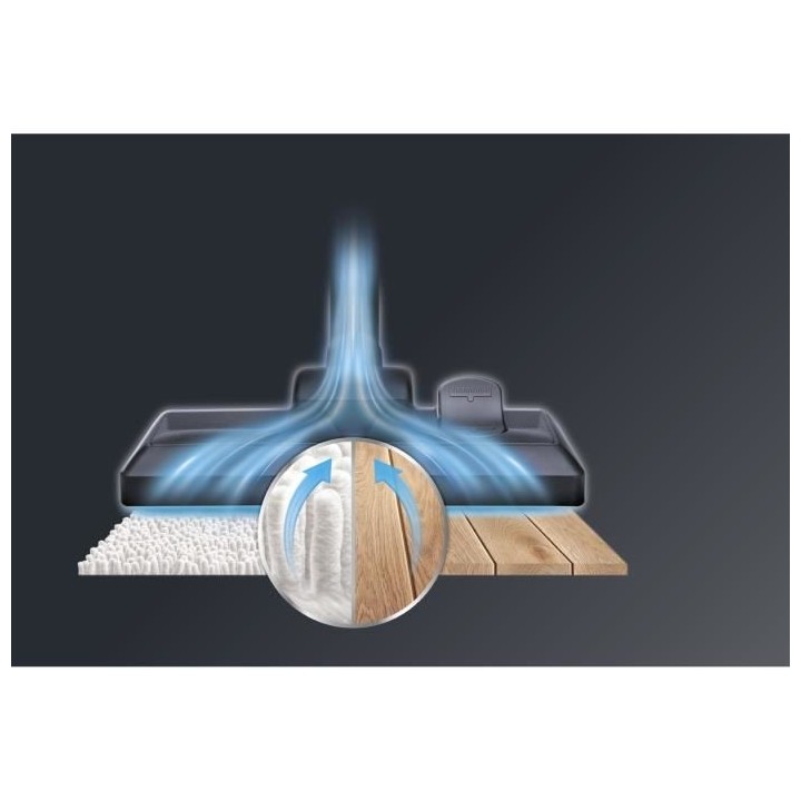 Rowenta RO6920EA X-TREM POWER CYCLONIC Aspirateur sans sac - 550Watts