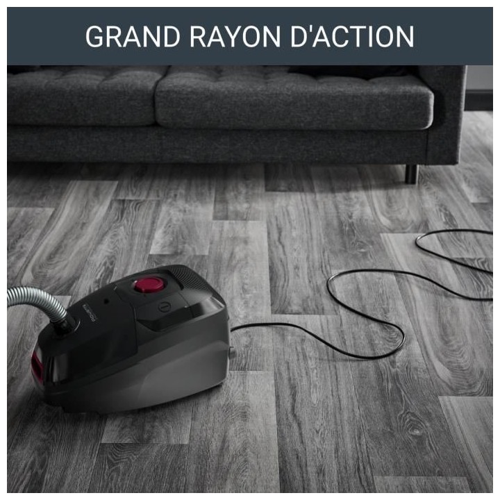 ROWENTA GREEN FORCE MAX - Aspirateur avec sac, Basse consommation 900