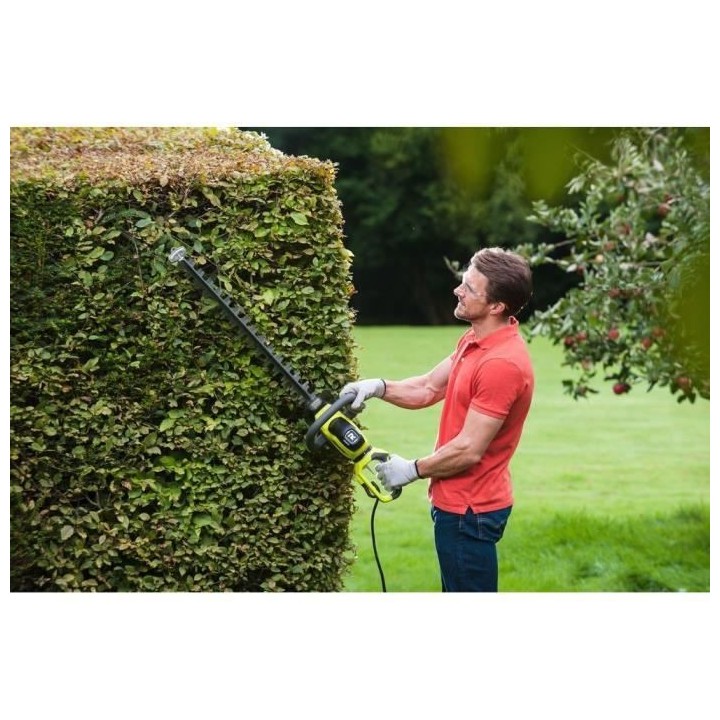 Taille-haies 600 W - lames 60 cm - écartement 28 mm - poignée arrier