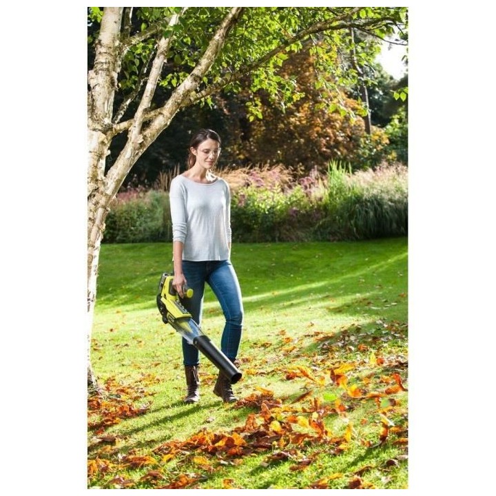 Souffleur 18V Turbo Jet - vitesse max. soufflerie 160 km/h - 1 batteri