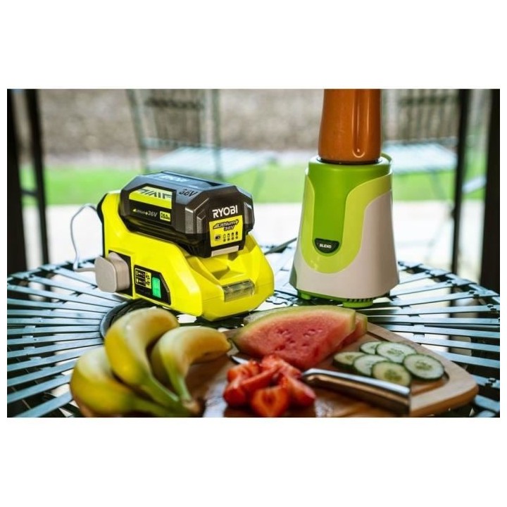 Transformateur 36V - puissance 300 W - crete 450 W - 1 port électriqu