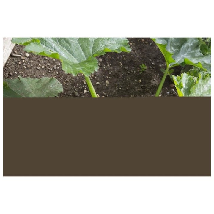 GARDENA Manche téléscopique 90cm -145cm Combisystem | Support outils