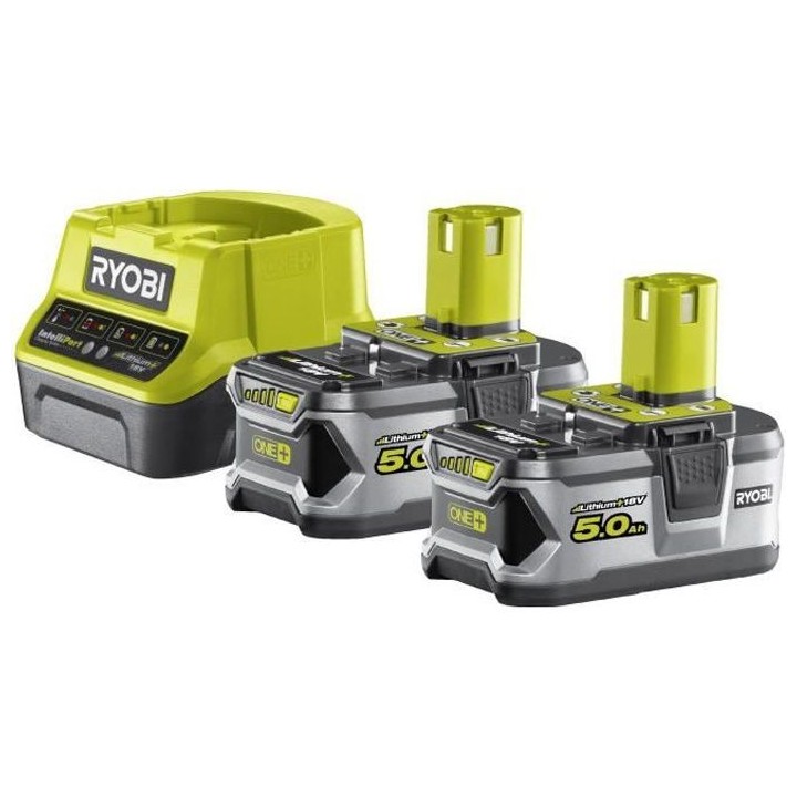 2 batteries lithium+ 18V - 5,0 Ah & 1 chargeur rapide 2,0 A
