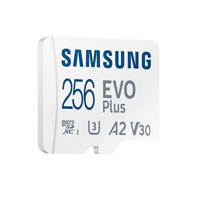 Carte Mémoire SAMSUNG 256Go MicroSD EVO PLUS