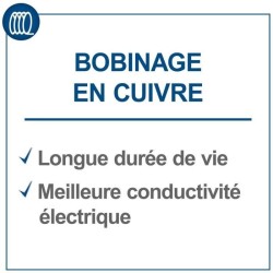 Groupe électrogene AVR SCHEPPACH SG7100 - 5000W / 5500W