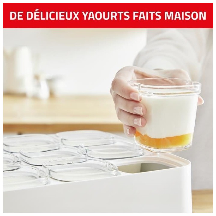 SEB Yaourtiere 6 pots 140 ml, Yaourts et desserts maison, 5 programmes