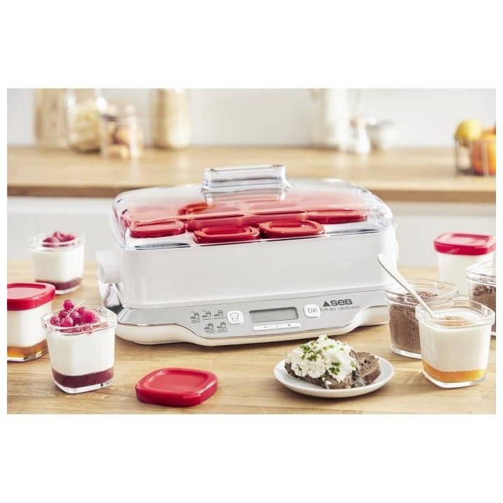 SEB Yaourtiere 6 pots 140 ml, Yaourts et desserts maison, 5 programmes