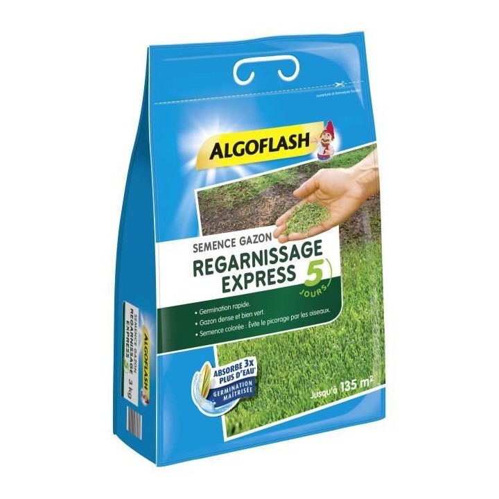 Semences Gazon Regarnissage Express 5 jours 3 kg