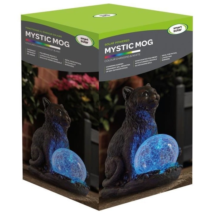 Chat Mystic et Globe craquelé