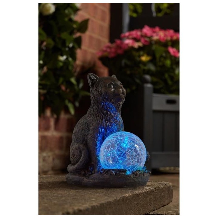 Chat Mystic et Globe craquelé