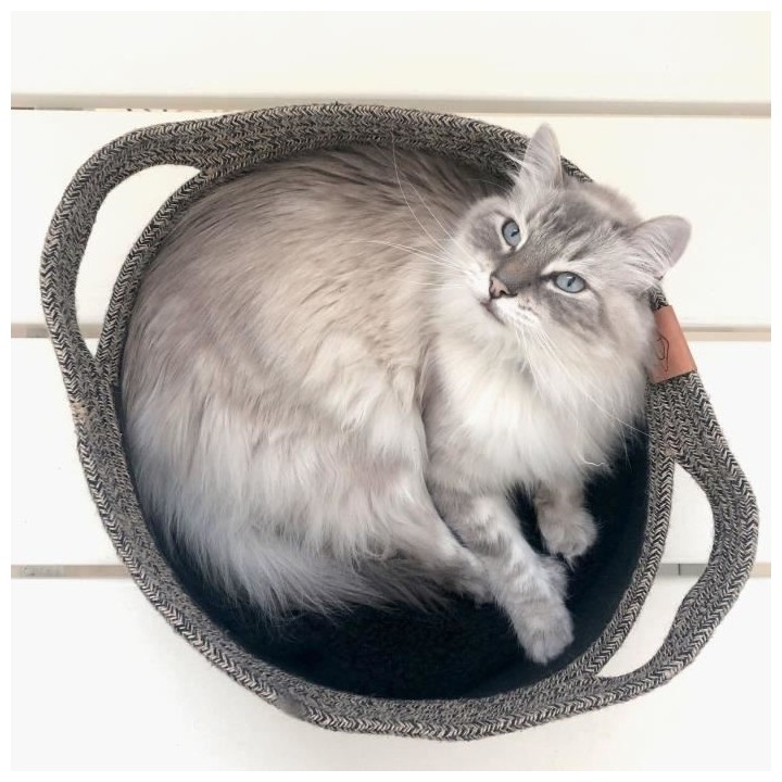 EBI Panier pour chats Tod - 35 x 35 x 22 cm - Noir