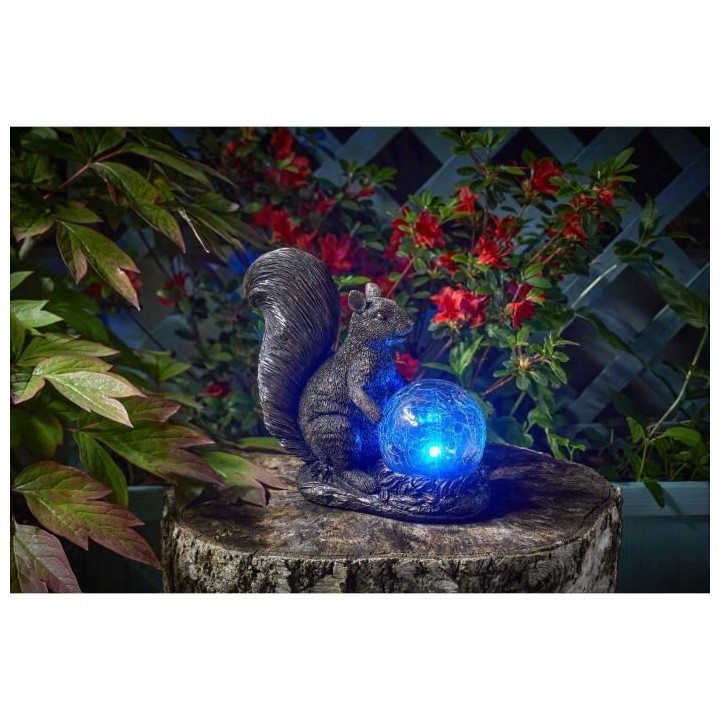 Ecureuil et Globe Craquelé