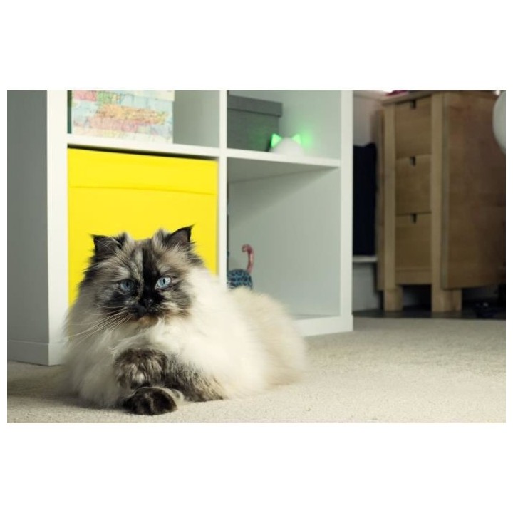 Sure Petcare Hub - Blanc - Compatible avec les produits Connect Sure P