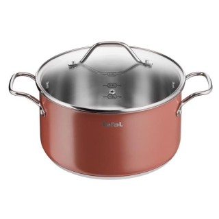 TEFAL Faitout 20 cm, Couvercle verre, Induction, Four, Acier inoxydabl