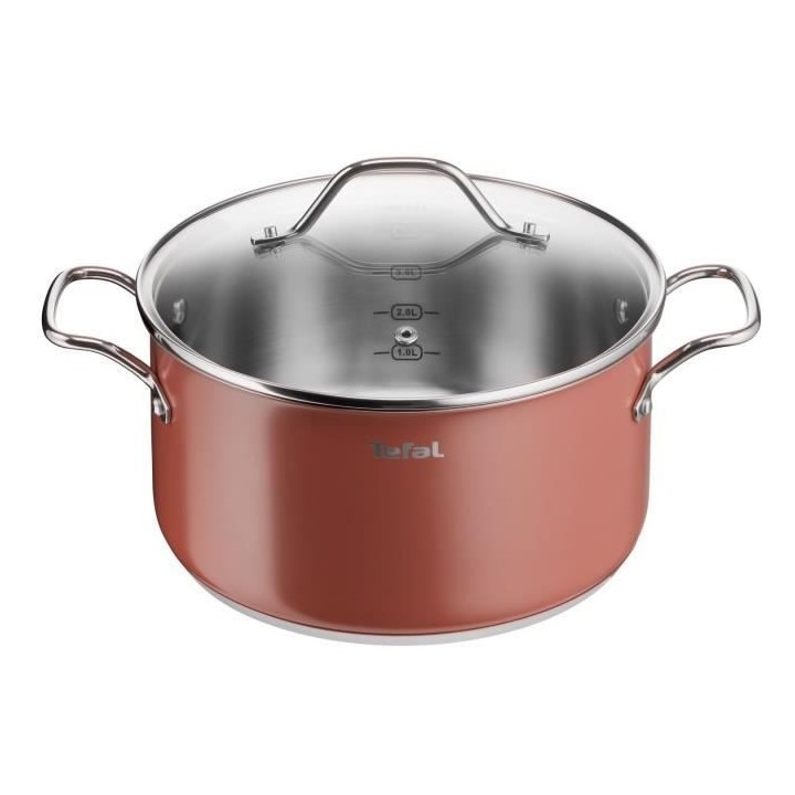 TEFAL Faitout 20 cm, Couvercle verre, Induction, Four, Acier inoxydabl