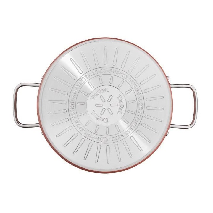TEFAL Faitout 20 cm, Couvercle verre, Induction, Four, Acier inoxydabl