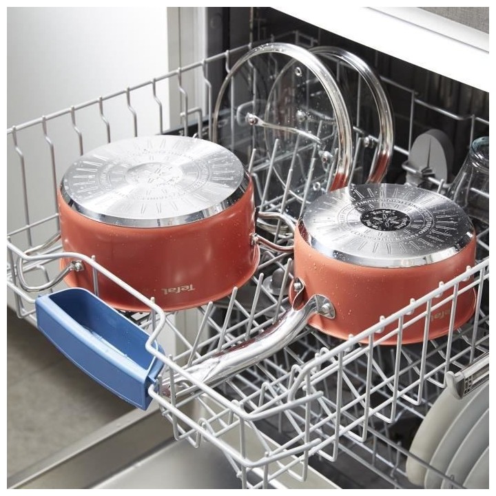 TEFAL Faitout 20 cm, Couvercle verre, Induction, Four, Acier inoxydabl