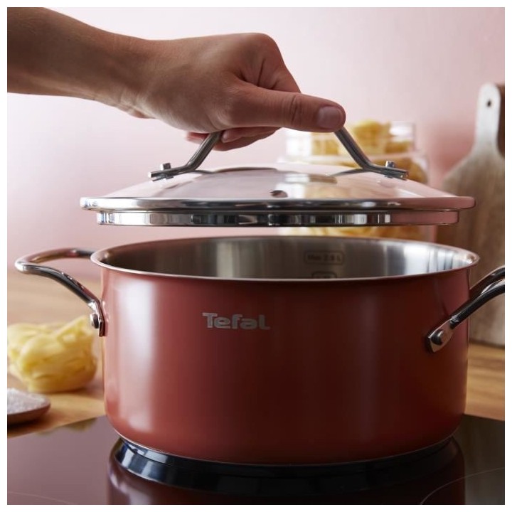 TEFAL Faitout 24 cm, Couvercle verre, Induction, Four, Acier inoxydabl