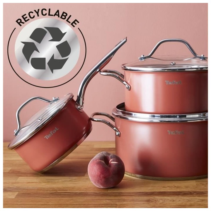 TEFAL Faitout 24 cm, Couvercle verre, Induction, Four, Acier inoxydabl