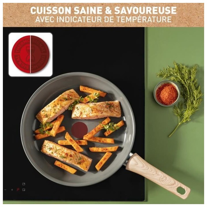 TEFAL Poele 24 cm, Induction, Revetement céramique antiadhésif, Recy