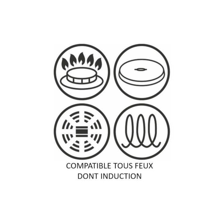 TEFAL G2550102 Poele 19 cm UNLIMITED - Tous feux dont induction - Noir