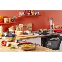 TEFAL L9730602 INGENIO Poele 28 cm, revetement antiadhésif, poignée vendue séparément, tous feux dont induction, fabriqué e