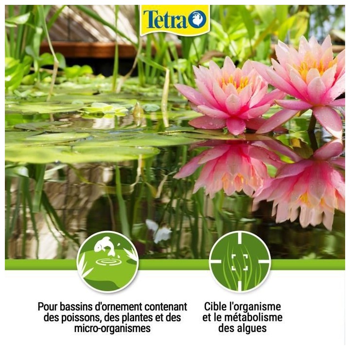 TETRA Pond Algofin 1 L - Pour aquarium