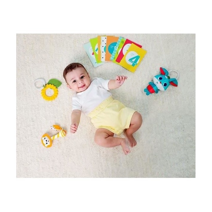 Set cadeau TINY LOVE: un jouet, 12 cartes étapes, hochet, Tournesol t