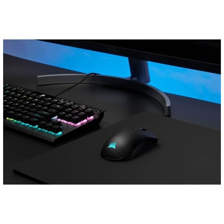 CORSAIR SABRE RGB PRO Wireless (CH-9313211-EU) Souris