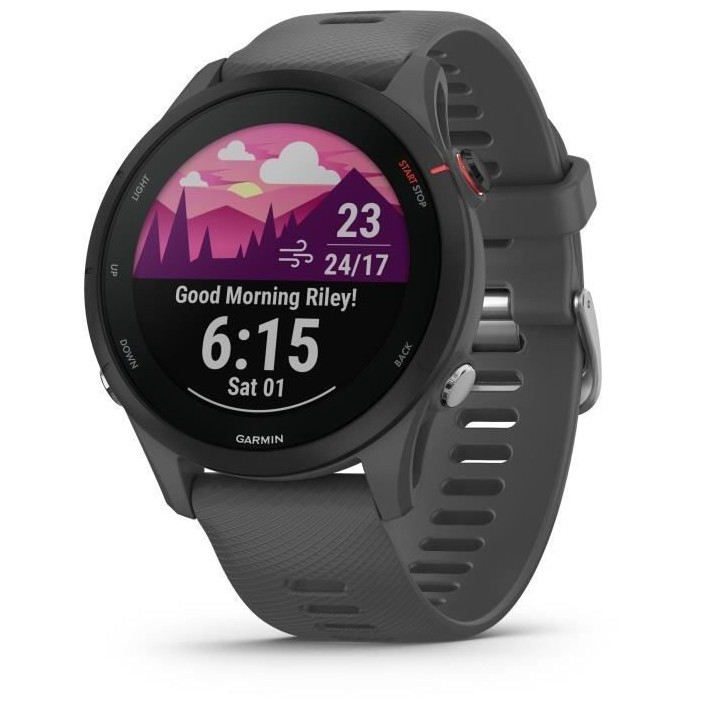 Montre connectée sport - GARMIN - Forerunner 255 - Grise