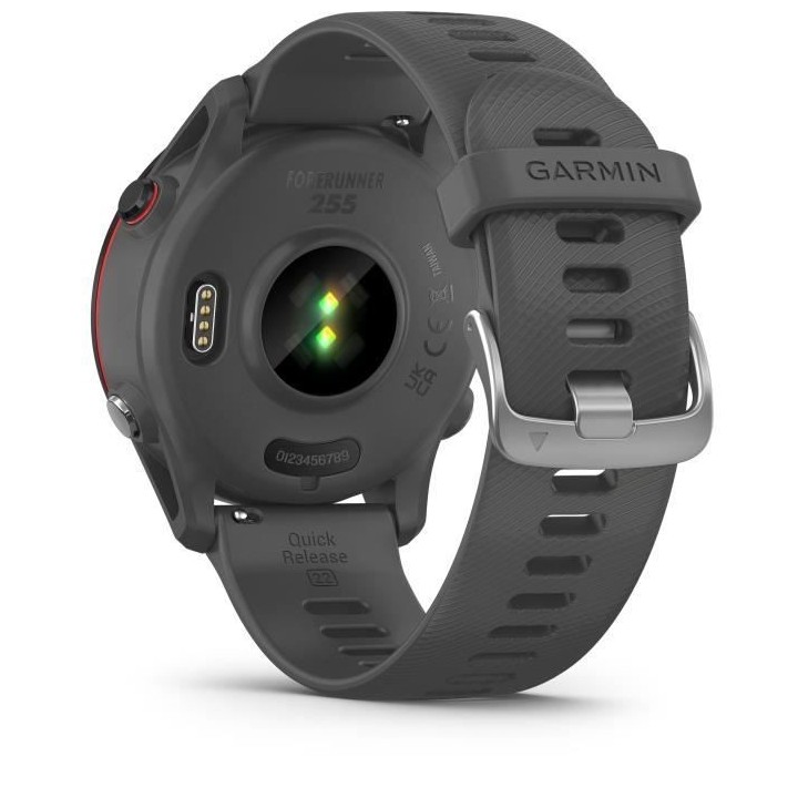 Montre connectée sport - GARMIN - Forerunner 255 - Grise