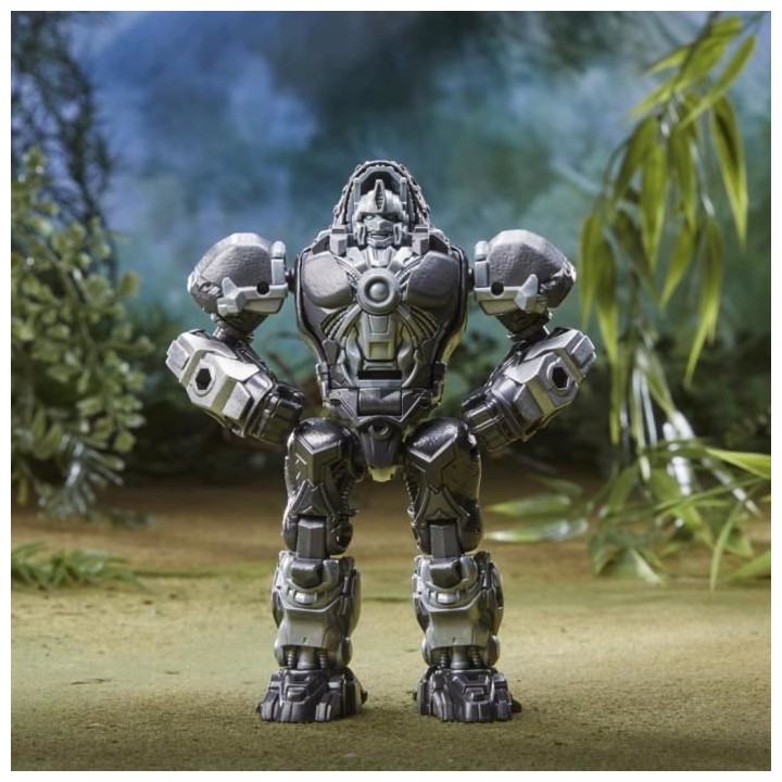 Pack de 2 figurines Optimus Primal et Arrowstripe, Transformers: Rise