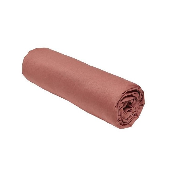 Drap housse TODAY Essential - 160 x 200+23 cm - 2 personnes - 100% Cot