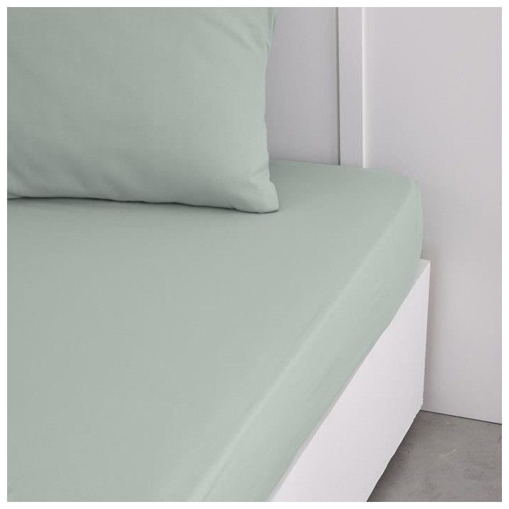Drap housse TODAY Essential - 140 x 200+30 cm - 2 personnes - 100% Cot