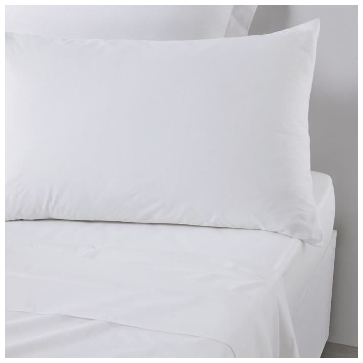 Taie d'oreiller TODAY Essential - 50 x 70+5 cm - 100% Coton uni - Crai