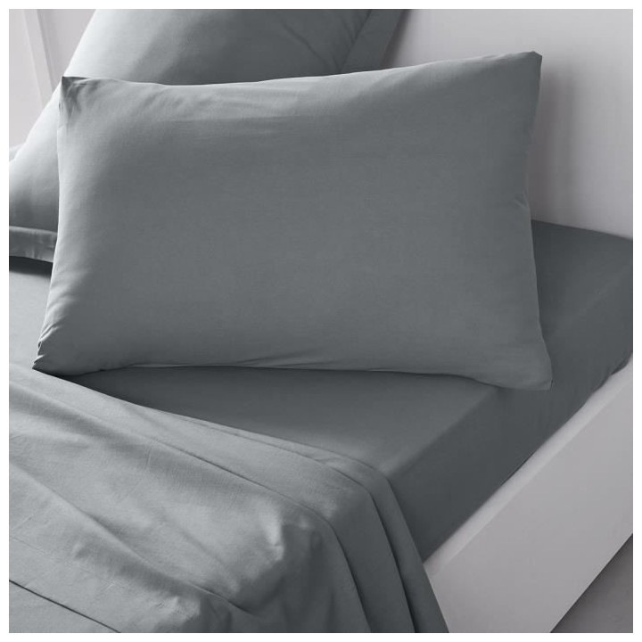 Taie d'oreiller TODAY Essential - 50 x 70+5 cm - 100% Coton uni - Acie