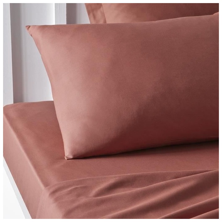 Taie d'oreiller TODAY Essential - 50 x 70+5 cm - 100% Coton uni - Terr