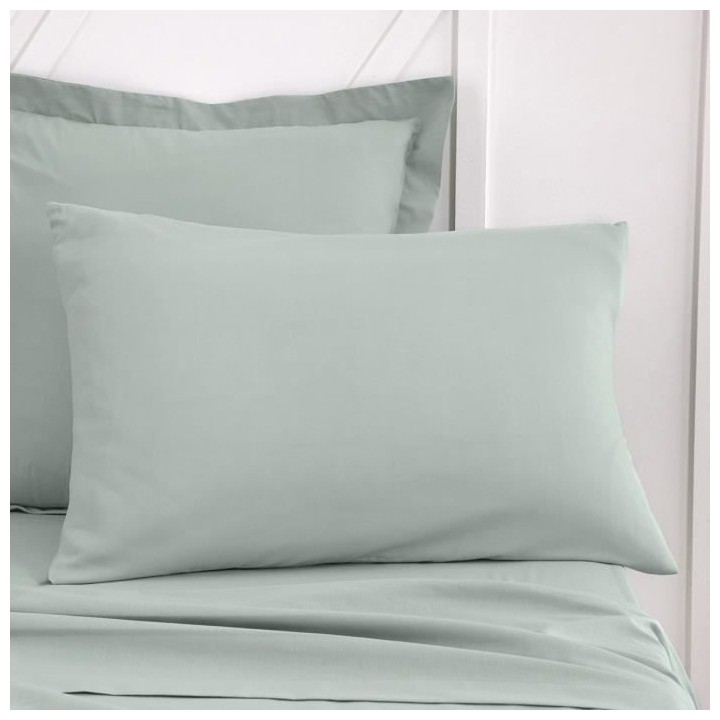 Taie d'oreiller TODAY Essential - 50 x 70+5 cm - 100% Coton uni - Cela