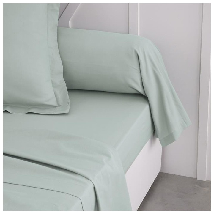 Taie de traversin TODAY Essential - 45 x 185 cm - 100% Coton uni - Cel