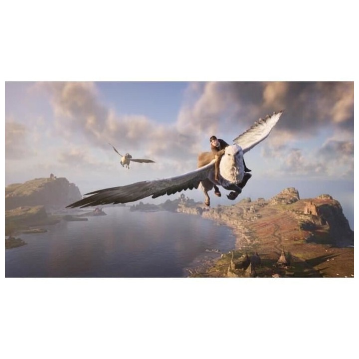 HOGWARTS LEGACY : L'HÉRITAGE DE POUDLARD Jeu PS4