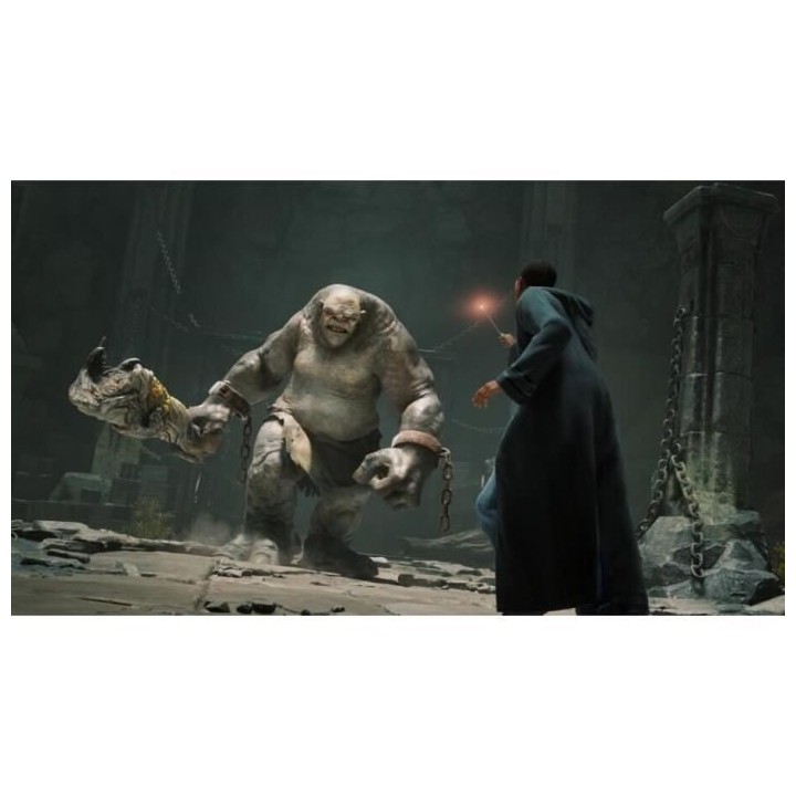 HOGWARTS LEGACY : L'HÉRITAGE DE POUDLARD Jeu PS4