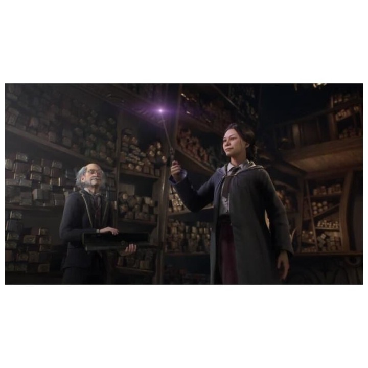 HOGWARTS LEGACY : L'HÉRITAGE DE POUDLARD Jeu PS4