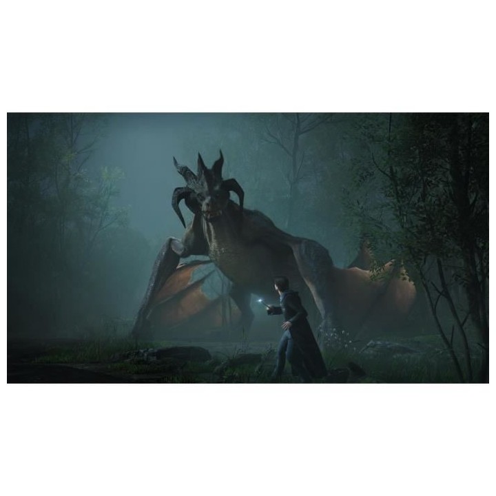 HOGWARTS LEGACY : L'HÉRITAGE DE POUDLARD Jeu PS5