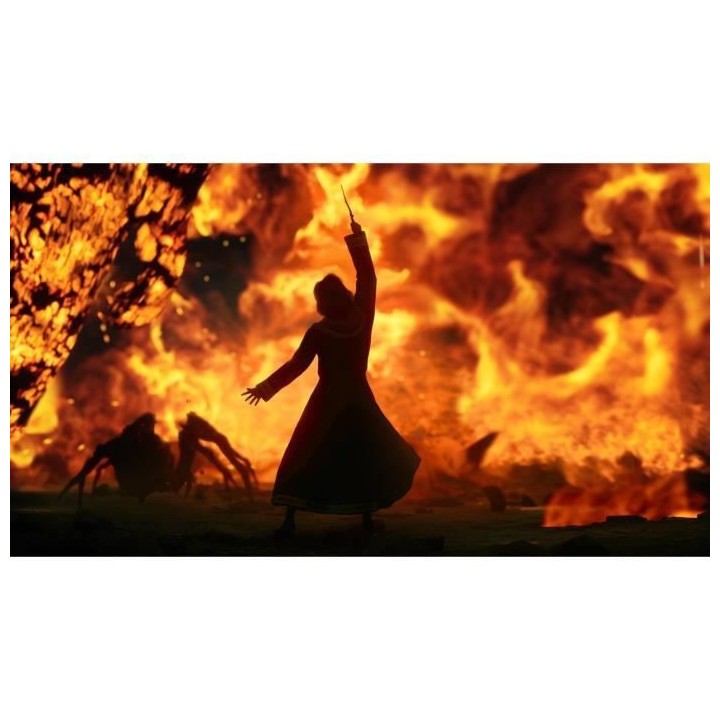 HOGWARTS LEGACY : L'HÉRITAGE DE POUDLARD Jeu Xbox One